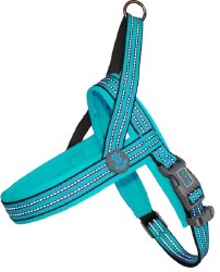 Vario Neoprene Harness Small Turquoise