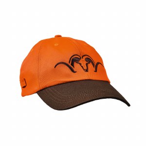Blaser Cap Brown/Blaze