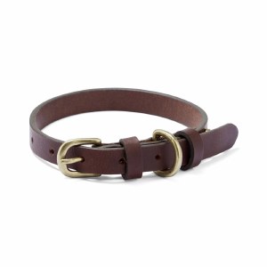 Le Chameau Leather Dog Collar
