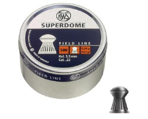 RWS Superdome .22 Pellets