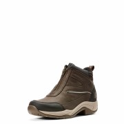 Ariat Telluride Zip Boots