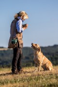 Additional picture of Blaser Poplin Ladies Shirt