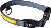 Additional picture of Blaser LED Dog Collar