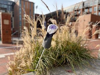 Headcover Stymie Fairway