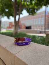 Belt Purple Eagle