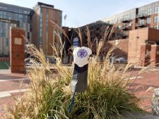 Headcover Stymie Driver