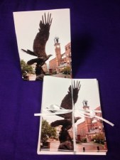 Notecards, Eagle Statue