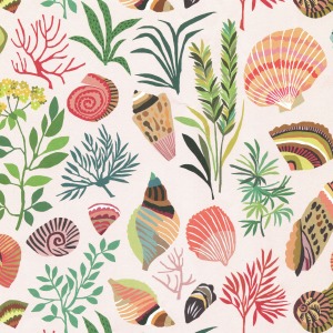 Brie Harrison - Shells