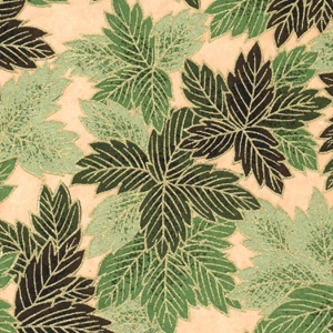 Chiyo Leaves