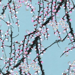Chiyo Sakura