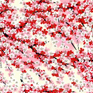 Chiyo Spring
