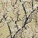 Chiyogami Sakura Gold