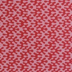 CI Kelp - Raspberry