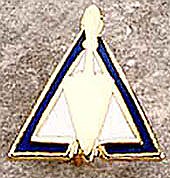 Council Lapel Pin