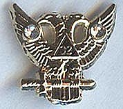 Scottish RiteWings UpLapel Pin