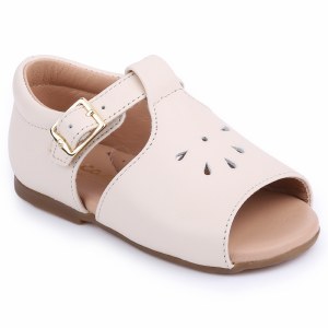 12056 Cream 18