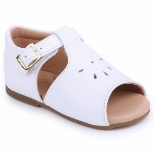 12056 White 18