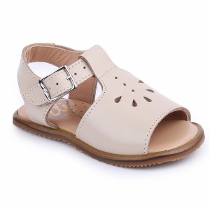 17505 Beige 19
