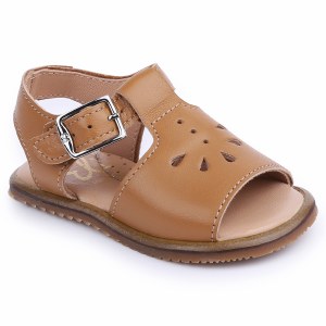 17505 Camel 19