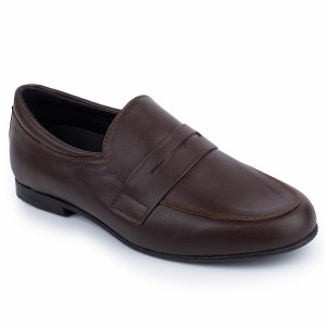 202751 Brown 25