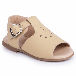 Bonita-E Beige 18