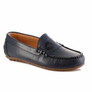 Chamberi-23 Blue 29