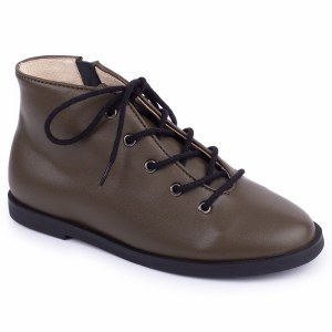 Derna Olive 20