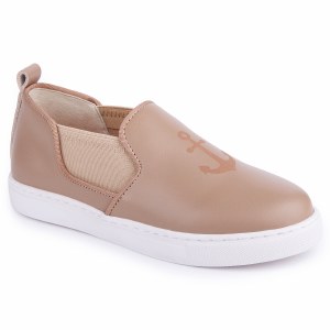 Diez-A Taupe 23