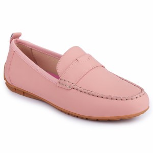 Dora Pink Gum 5