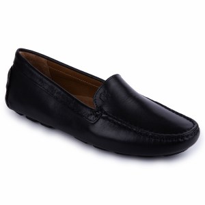 Dylan-BA Black 5