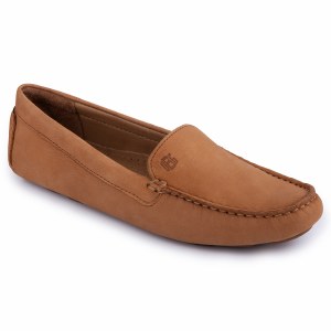 Dylan-BA Tan 6.5