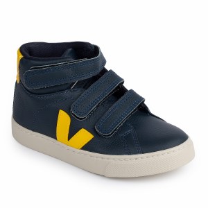 Esplar-Hi Blue 25