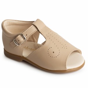 MX1180-23 Taupe 18