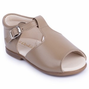 MX1180-24 Taupe 20