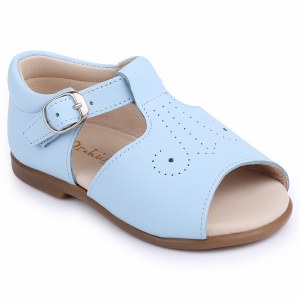 MX1180-25 Blue 19