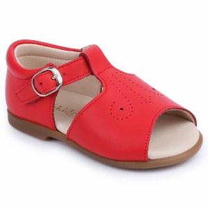 MX1180-25 Red 18