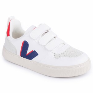 V10-W White/Blue 22