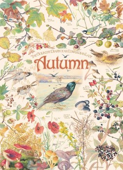 1000 Country Diary:Autumn