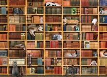 1000 Cat Library
