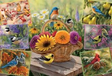 2000 Rosemary's Birds