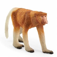 Proboscis Monkey