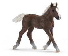 Black Forest Foal