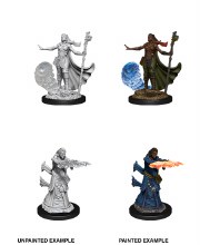 D&D Mini: Female Human Wizard