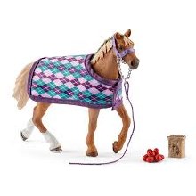 English Thoroughbred w/Blanket