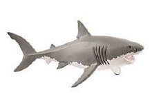 Great White Shark