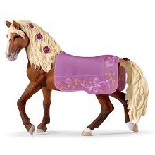 Paso Fino Stallion Horse Show