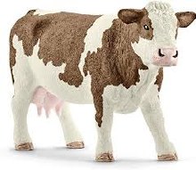 Simmental Cow