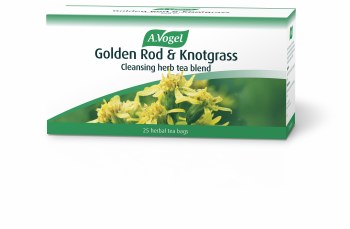 Golden Rod &amp; Knotgrass Tea