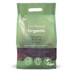 Organic Raisins 250g