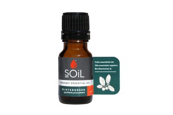 Wintergreen
